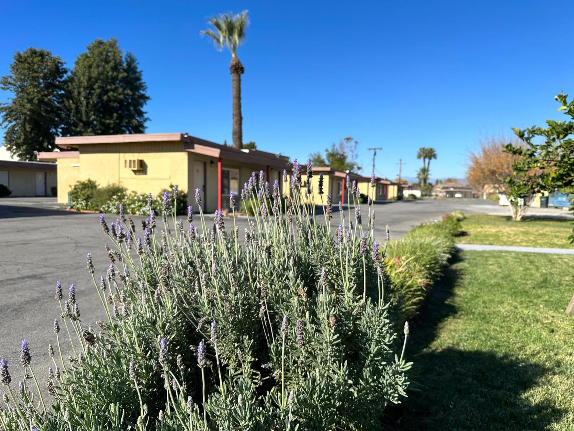 Royal Inn And Suites Hemet Dış mekan fotoğraf