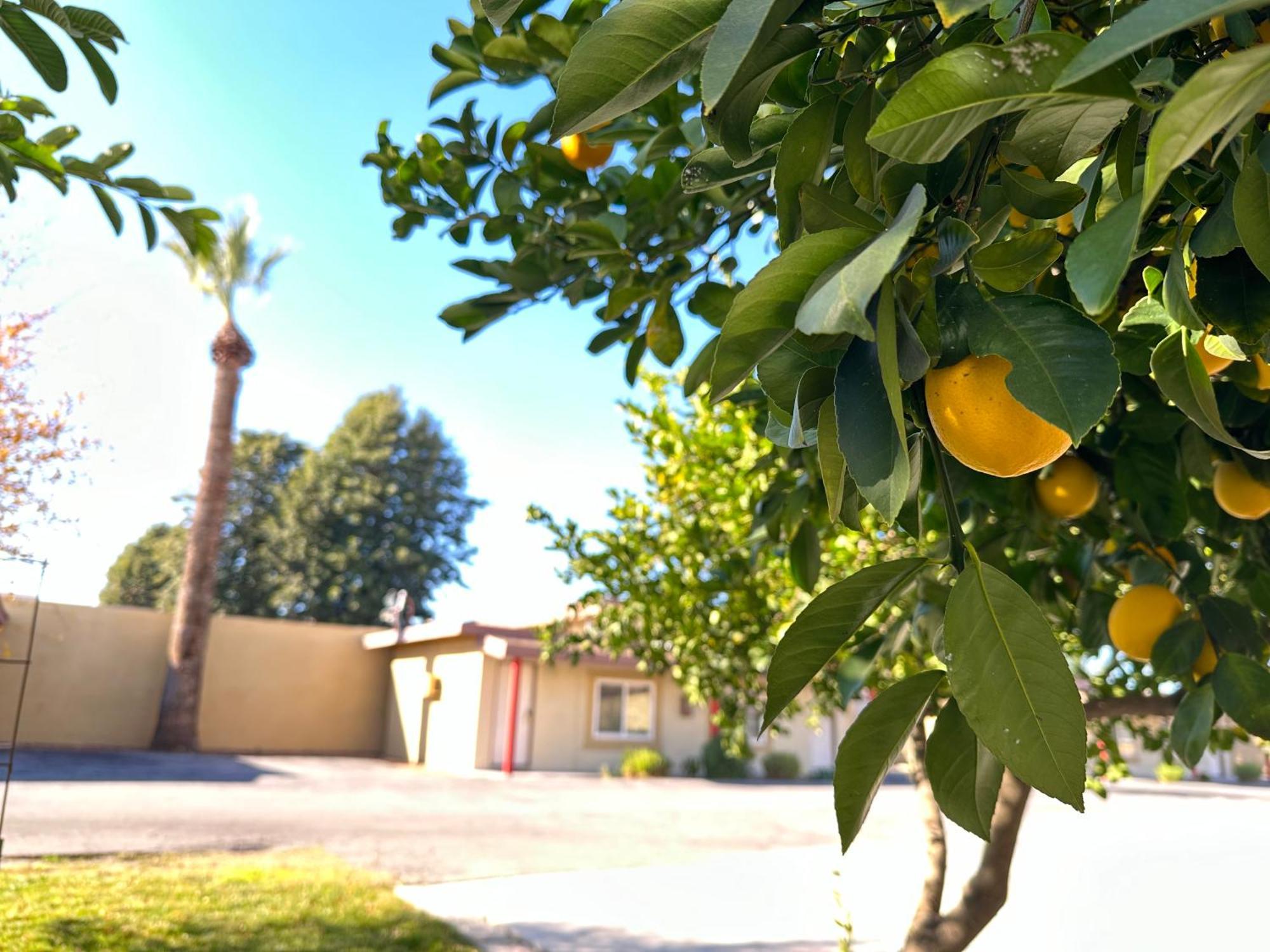 Royal Inn And Suites Hemet Dış mekan fotoğraf