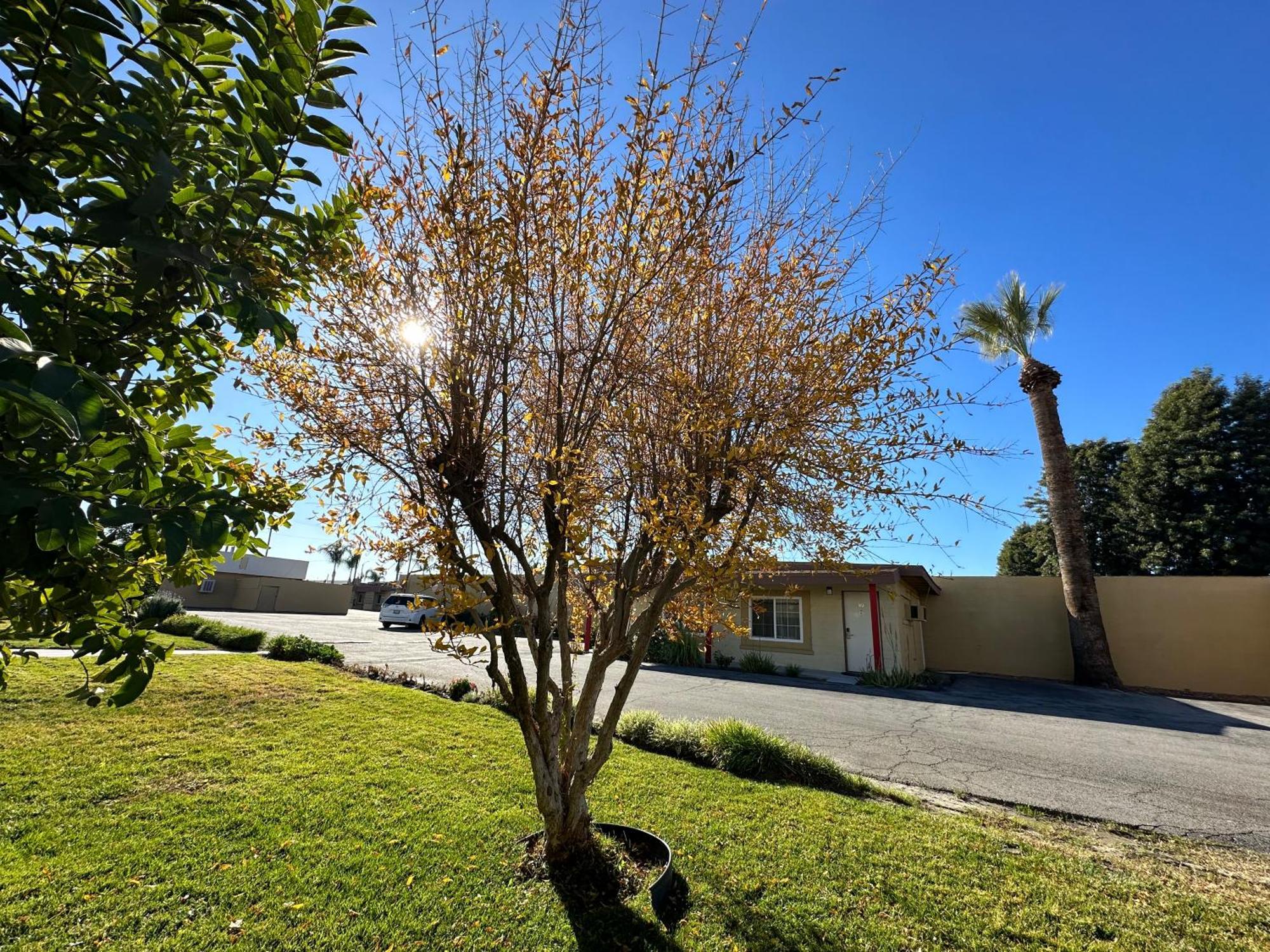 Royal Inn And Suites Hemet Dış mekan fotoğraf