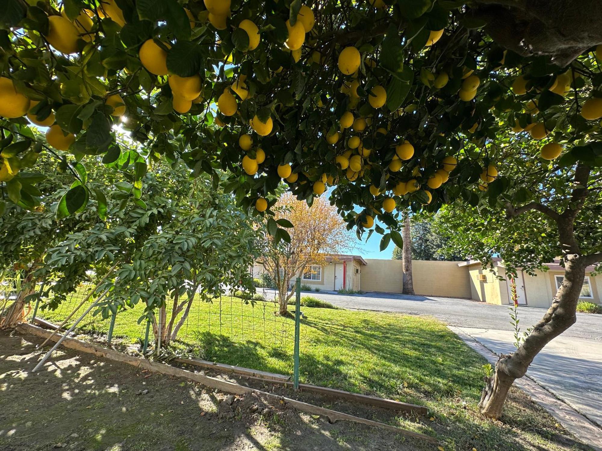 Royal Inn And Suites Hemet Dış mekan fotoğraf